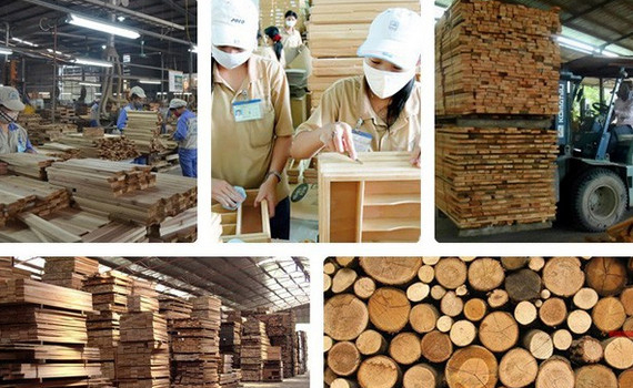 Ng&agrave;nh gỗ v&agrave; l&acirc;m sản t&aacute;i cơ cấu ứng ph&oacute; với t&igrave;nh h&igrave;nh mới