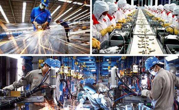 Nhiều cơ hội v&agrave;ng đang chờ c&aacute;c doanh nghiệp Việt khai th&aacute;c từ EVFTA