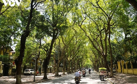 Thời tiết h&ocirc;m nay (3/9): H&agrave; Nội ng&agrave;y nắng n&oacute;ng, chiều tối c&oacute; mưa d&ocirc;ng
