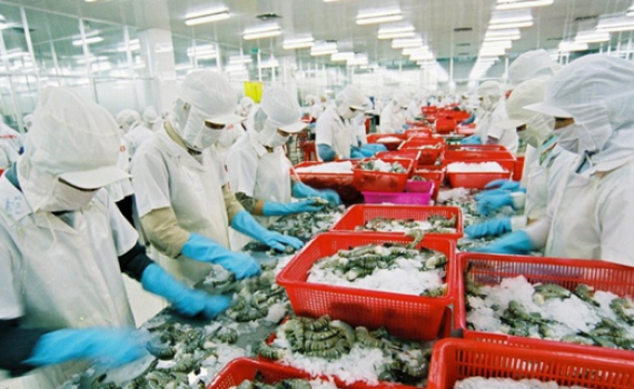Xuất khẩu t&ocirc;m sang EU tăng 10% sau khi EVFTA c&oacute; hiệu lực