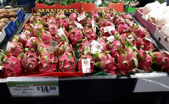 Thanh long Việt Nam được đ&aacute;nh gi&aacute; cao tại &Uacute;c