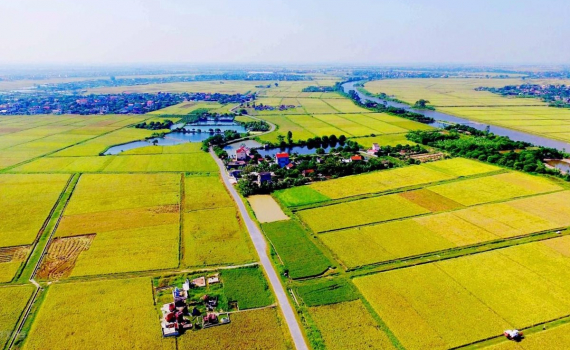 Bộ TN-MT n&oacute;i về đề xuất giảm diện t&iacute;ch đất l&uacute;a, tăng khu c&ocirc;ng nghiệp