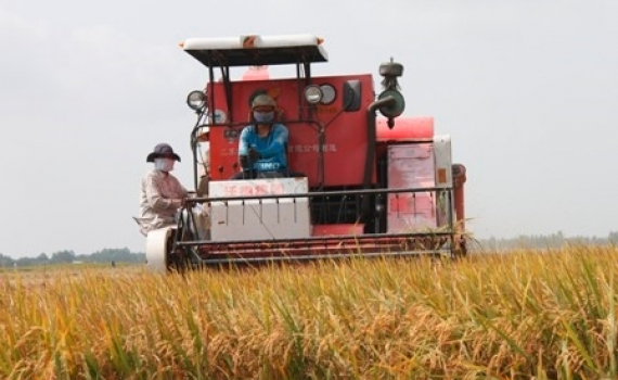 Kiến nghị Ch&iacute;nh phủ ban h&agrave;nh Nghị quyết về kh&ocirc;i phục sản xuất n&ocirc;ng nghiệp tr&ecirc;n cả nước