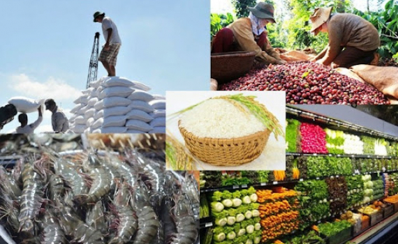 Thủ tướng Ch&iacute;nh phủ chỉ đạo th&uacute;c đẩy sản xuất, lưu th&ocirc;ng, xuất khẩu n&ocirc;ng sản