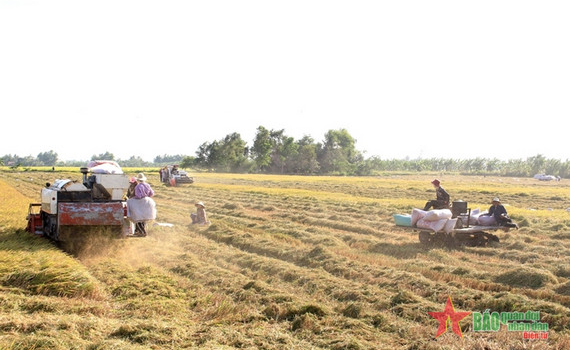 N&ocirc;ng nghiệp Đồng bằng s&ocirc;ng Cửu Long: Cơ giới h&oacute;a đồng bộ, dễ hay kh&oacute;?