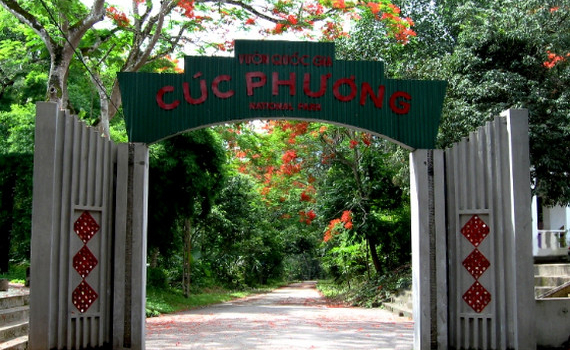 Vườn Quốc gia C&uacute;c Phương tiếp tục được vinh danh l&agrave; vườn quốc gia h&agrave;ng đầu ch&acirc;u &Aacute;
