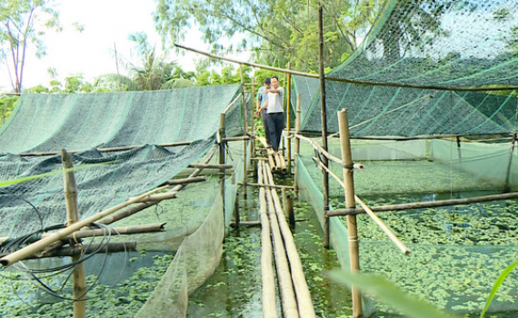 Th&agrave;nh phố Ninh B&igrave;nh n&acirc;ng "chất" n&ocirc;ng th&ocirc;n mới từ ti&ecirc;u ch&iacute; thu nhập