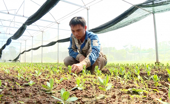 Y&ecirc;n M&ocirc; triển khai nhiều giải ph&aacute;p giảm ngh&egrave;o