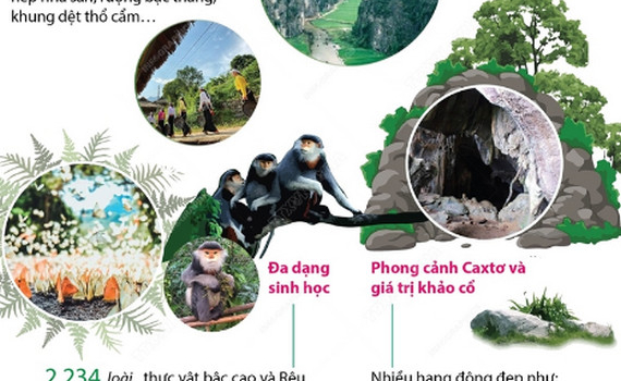 Vườn quốc gia C&uacute;c Phương được vinh danh l&agrave; 'C&ocirc;ng vi&ecirc;n quốc gia h&agrave;ng đầu ch&acirc;u &Aacute;'