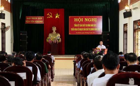 Y&ecirc;n Kh&aacute;nh phấn đấu vụ Đ&ocirc;ng năm 2022 gieo trồng khoảng 2.400 ha