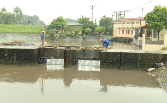 Mưa lớn l&agrave;m tr&ecirc;n 5 ngh&igrave;n ha l&uacute;a vụ M&ugrave;a của Ninh B&igrave;nh bị ngập