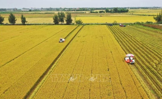 Th&uacute;c đẩy triển khai chương tr&igrave;nh chuyển đổi số trong x&acirc;y dựng n&ocirc;ng th&ocirc;n mới