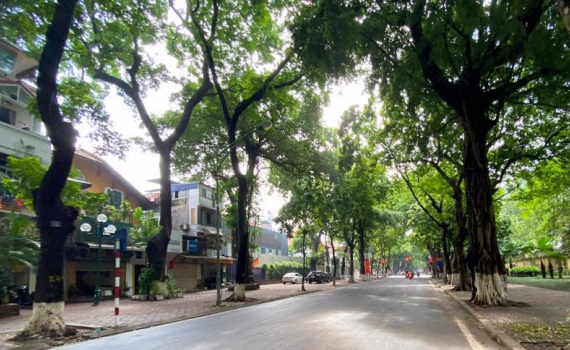 Thời tiết h&ocirc;m nay: Nắng đẹp trong ng&agrave;y khai giảng