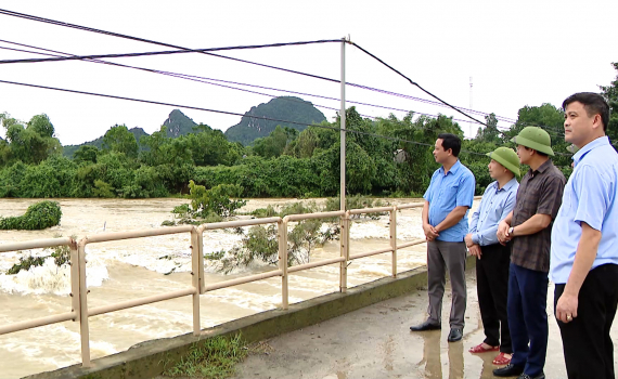 Nho Quan, Kim Sơn chủ động ph&ograve;ng, chống ngập &uacute;ng bảo vệ sản xuất n&ocirc;ng nghiệp