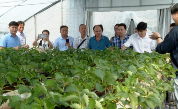 Đo&agrave;n c&ocirc;ng t&aacute;c tỉnh Ninh B&igrave;nh tập huấn kiến thức trồng trọt tại th&agrave;nh phố Asan (H&agrave;n Quốc)