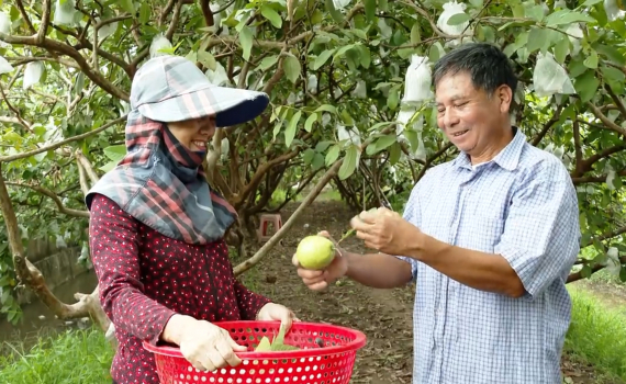 Y&ecirc;n Kh&aacute;nh n&acirc;ng cao hiệu quả sản xuất n&ocirc;ng nghiệp