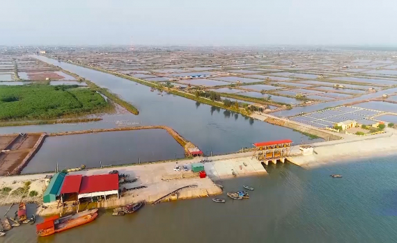 Kim Sơn chủ động ph&ograve;ng chống thi&ecirc;n tai v&ugrave;ng ven biển