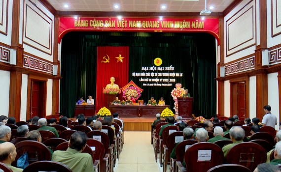 Đại hội đại biểu Hội Nạn nh&acirc;n chất độc da cam/dioxin huyện Hoa Lư