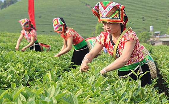 Quy định mới về hỗ trợ đất sản xuất cho hộ đồng b&agrave;o d&acirc;n tộc thiểu số ngh&egrave;o