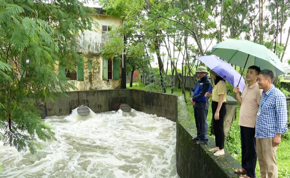 Y&ecirc;n M&ocirc;, Gia Viễn, Hoa Lư t&iacute;ch cực chống mưa &uacute;ng bảo vệ c&acirc;y trồng