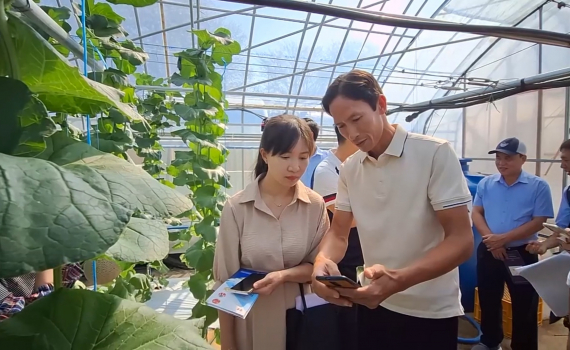 M&ocirc; h&igrave;nh n&ocirc;ng nghiệp c&ocirc;ng nghệ cao ở th&agrave;nh phố Asan (H&agrave;n Quốc)