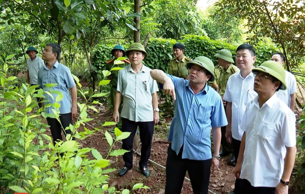 Lãnh đạo UBND tỉnh kiểm tra thực địa khu vực có nguy cơ sạt lở đất