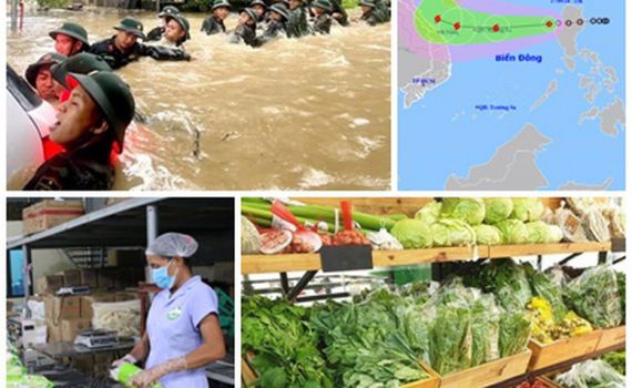 Chỉ đạo, điều h&agrave;nh của Ch&iacute;nh phủ, Thủ tướng Ch&iacute;nh phủ nổi bật tuần từ 14-20/9/2024
