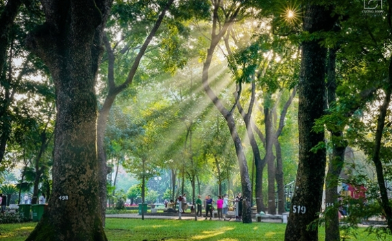 Thời tiết h&ocirc;m nay (25-9): Cả 3 miền ng&agrave;y nắng, chiều tối v&agrave; đ&ecirc;m c&oacute; mưa