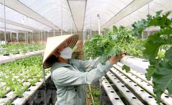 Ch&iacute;nh s&aacute;ch hỗ trợ ph&aacute;t triển tổ hợp t&aacute;c, hợp t&aacute;c x&atilde;, li&ecirc;n hiệp hợp t&aacute;c x&atilde;