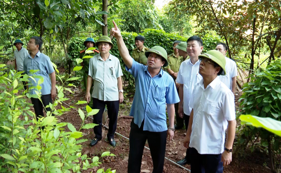 L&atilde;nh đạo UBND tỉnh kiểm tra thực địa khu vực c&oacute; nguy cơ sạt lở đất