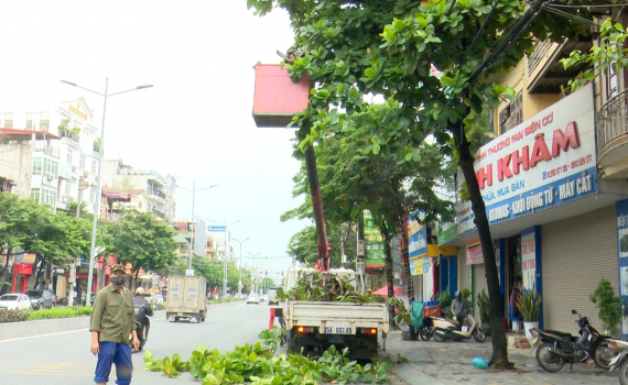 Th&agrave;nh phố Ninh B&igrave;nh chủ động ph&ograve;ng chống b&atilde;o số 3