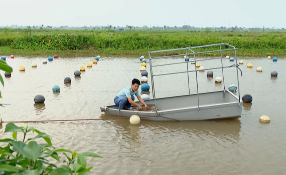 Th&agrave;nh c&ocirc;ng từ m&ocirc; h&igrave;nh nu&ocirc;i trai nước ngọt lấy ngọc
