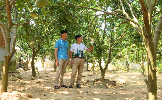 Ninh B&igrave;nh tạo sinh kế cho người d&acirc;n tộc thiểu số