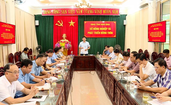 Sở NN&PTNT sơ kết sản xuất vụ m&ugrave;a năm 2024