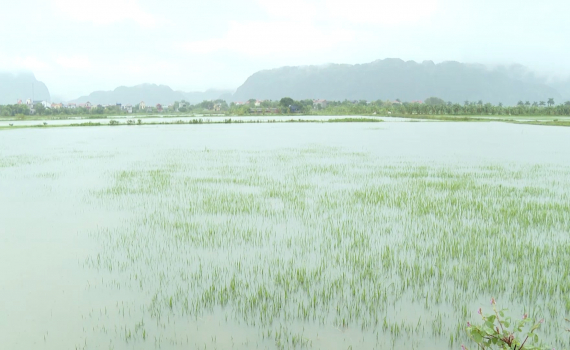 Ninh B&igrave;nh: Đảm bảo c&ocirc;ng t&aacute;c thủy lợi phục vụ ph&ograve;ng chống mưa &uacute;ng