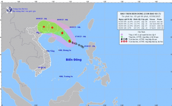 Thời tiết h&ocirc;m nay (7-9): B&atilde;o số 7 giật cấp 11, di chuyển theo hướng T&acirc;y T&acirc;y Bắc