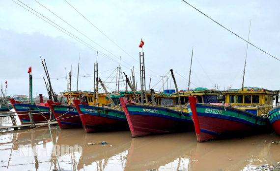 Chủ động ứng ph&oacute; &aacute;p thấp nhiệt đới tr&ecirc;n Biển Đ&ocirc;ng