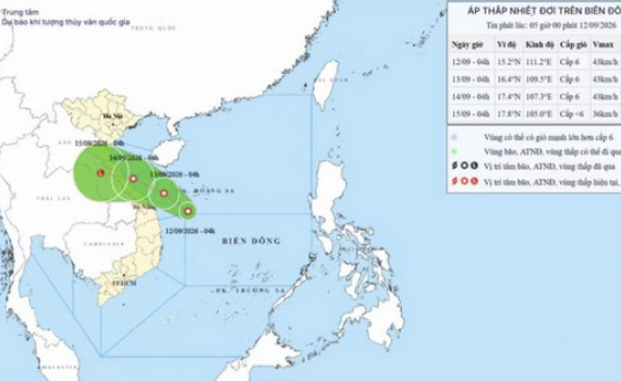 Ninh B&igrave;nh chủ động ứng ph&oacute; với &aacute;p thấp nhiệt đới tr&ecirc;n Biển Đ&ocirc;ng