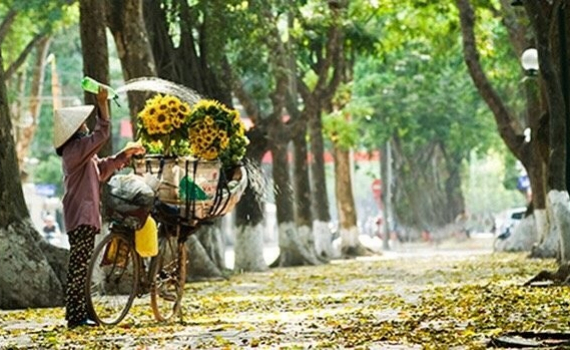 Thời tiết h&ocirc;m nay (21-9): Miền Bắc ng&agrave;y nắng, miền Trung v&agrave; miền Nam c&oacute; mưa, cục bộ c&oacute; nơi mưa rất to