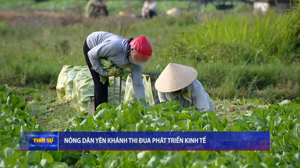 N&ocirc;ng d&acirc;n Y&ecirc;n Kh&aacute;nh thi đua ph&aacute;t triển kinh tế