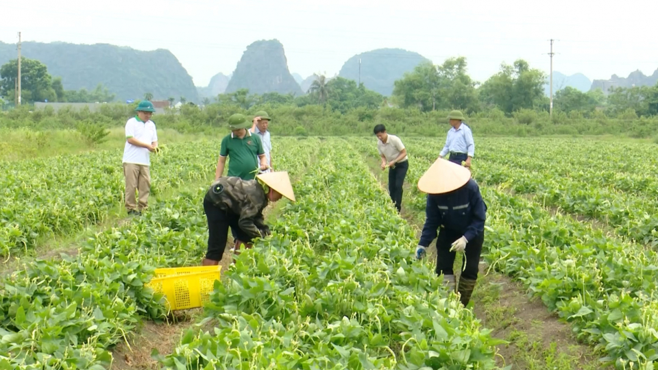 Th&uacute;c đẩy kinh tế tập thể từ c&aacute;c phong tr&agrave;o