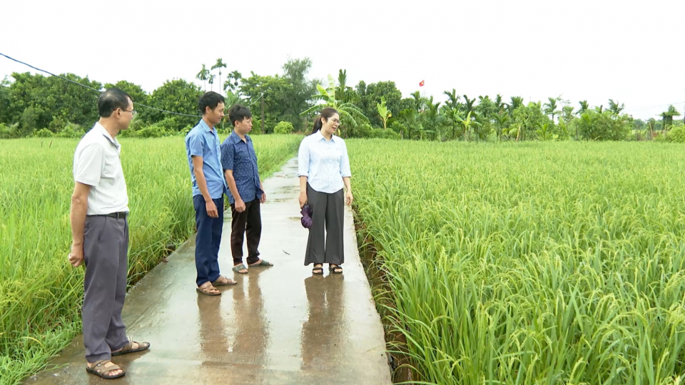Gieo niềm tin, vun hạt giống đỏ