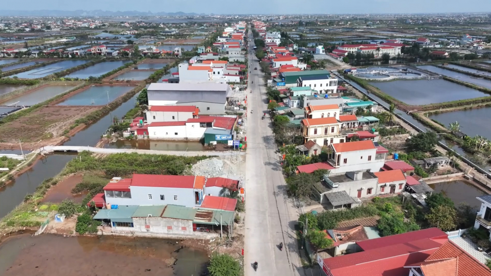 Xu&acirc;n về tr&ecirc;n x&atilde; v&ugrave;ng biển Kim Đ&ocirc;ng