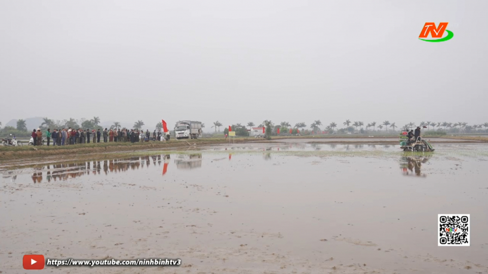 Tr&igrave;nh diễn m&ocirc; h&igrave;nh sản xuất l&uacute;a theo hướng hữu cơ