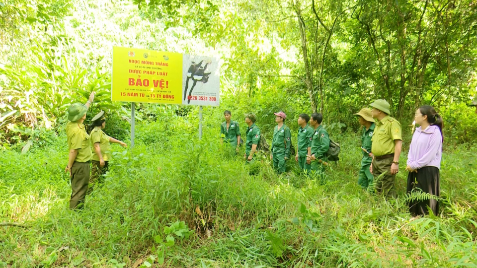 Đ&aacute;nh thức gi&aacute; trị xanh từ những c&aacute;nh rừng Kim Bảng