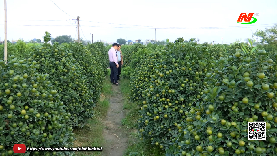 Hiệu quả chương tr&igrave;nh vốn vay giải quyết việc l&agrave;m