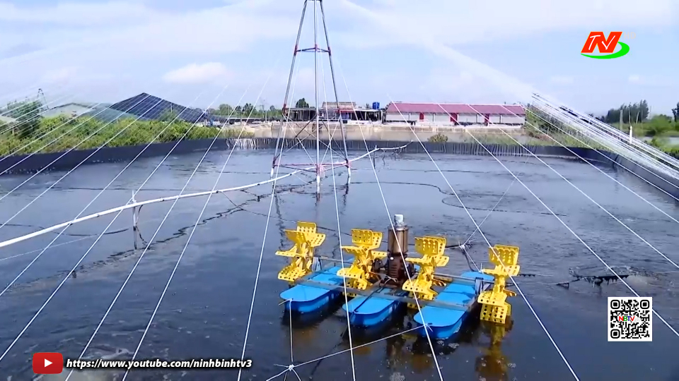 Ứng dụng c&ocirc;ng nghệ cao, nu&ocirc;i trồng thủy sản theo hướng bền vững