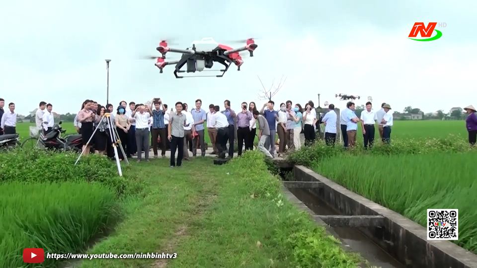 Th&agrave;nh tựu ứng dụng c&ocirc;ng nghệ trong sản xuất n&ocirc;ng nghiệp