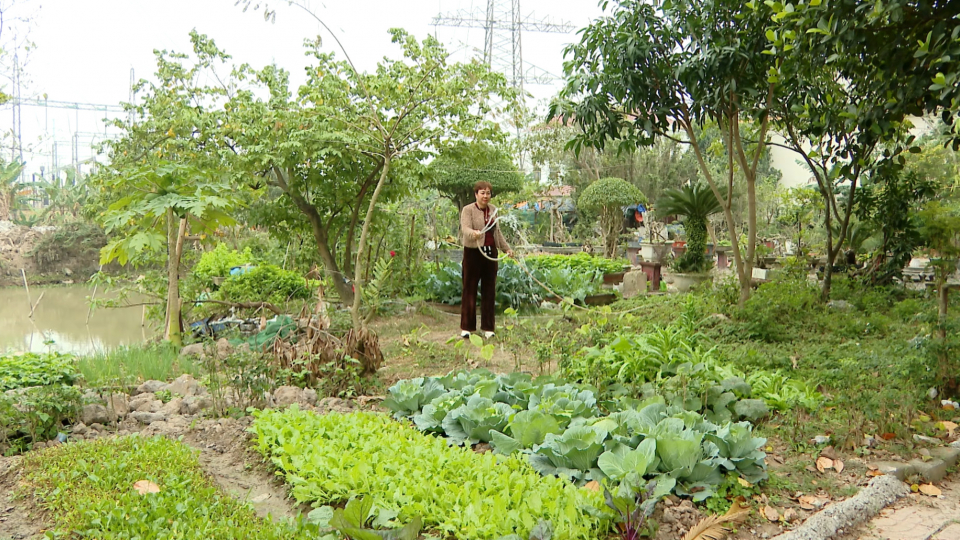 N&ocirc;ng d&acirc;n phố