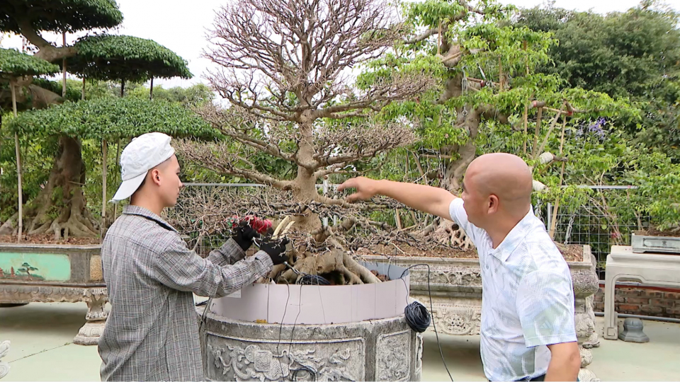 Vị Kh&ecirc; v&agrave;o Xu&acirc;n